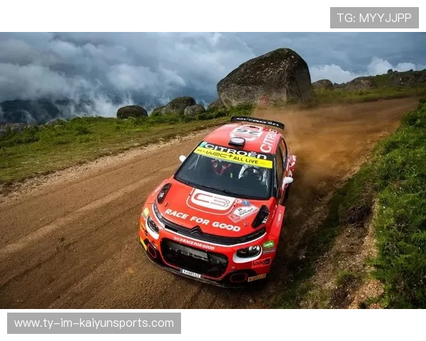 WRC急速追击：车手如何应对突发状况？，wrc极速