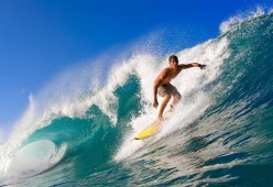 “马科斯·莫奇的战术安排与防守反应，成就美洲狮队的防守核心”